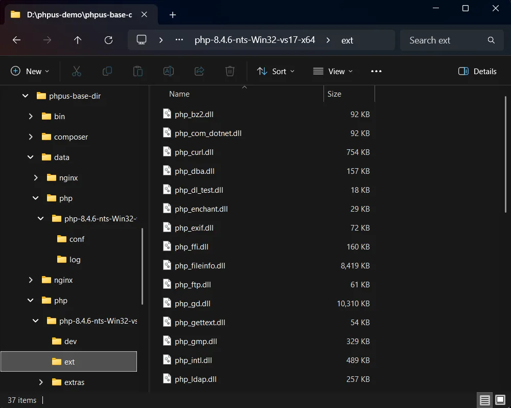 Project setting - PHP extensions directory path.