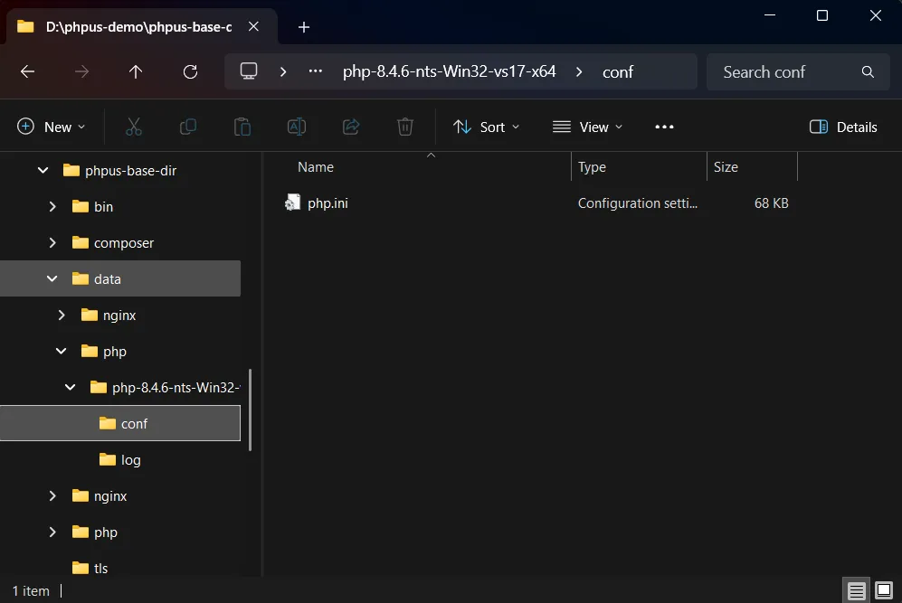 Project setting - php.ini directory path.
